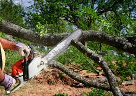 Best Lawn Grading and Leveling  in Panacea, FL